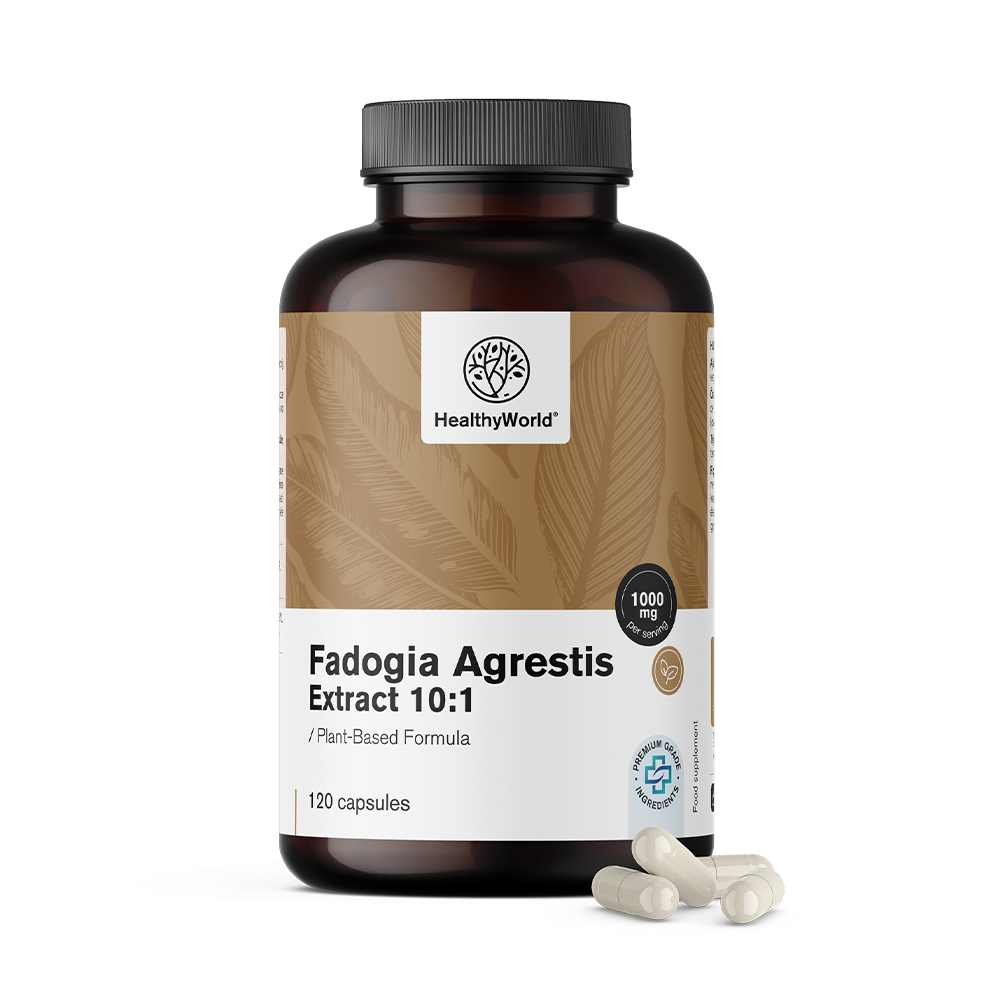 Fadogia Agrestis 1000 mg în capsule.