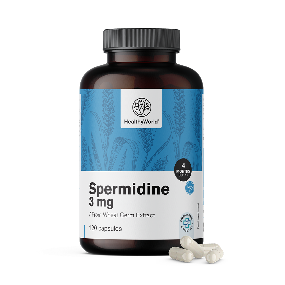 Spermidin 3 mg - din extractul de germeni de grâu